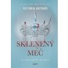 Sklenený meč - Victoria Aveyard