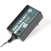 RAY RAYTRONIC C2 Pb nabíječ 1A (3EC1023)