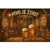 Ceduľa Pivo je život 30cm x 20cm Plechová tabuľa