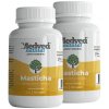 AKCIA 2x Medveď natural Masticha 30 kapsúl