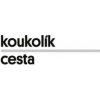 Cesta : dál je nekončící obzor - Koukolík František