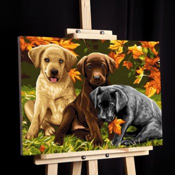 Maľovanie podľa čísiel psíkovia, vypnuté plátno na rám