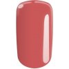 Tasha UV/LED gél farebný Fresh Raspberry 5 g Black Line