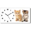Vodorovné Sklenené hodiny na stenu Hnedá a červená mačka 60x30 cm