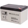 MW POWER 12V 12Ah