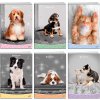 Zošit A5 – Mláďatá II, 80 g, 40 listov, linajka, mix 6 motívov