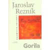 Tajomstvo priamky - Jaroslav Rezník
