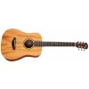 Taylor BT2