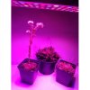 LED GROW panel pre všetky rastliny (ružová) 25W