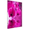 Vertikálny foto obraz akrylové sklo Ružová orchidea 50x100 cm