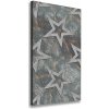 Vertikálny foto obraz na plátne Kamenné hviezdy 50x100 cm