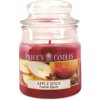 Parafínová vonná sviečka Apple Spice Price's Candles