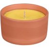 Nohel Garden citronella 11 cm