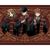 ZUTY Maľovanie podľa čísel - HARRY POTTER, RON A HERMIONA V CHRABROMILSKOM HÁBITE Rámovanie: vypnuté plátno na rám, Rozmer: 40x50 cm