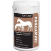 Dromy Pangamin HORSE 900g 2000tbl
