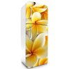 Fototapeta Dimex Plumeria 65 x 180 cm FR180-013 (Samolepiace fototapety na chladničku)