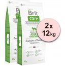 Brit Care Grain-free Adult Large Breed Salmon & Potato 2 x 12 kg