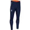 Bjorn Daehlie Tights Mora Men - Navy M