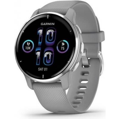 Chytré hodinky Garmin Venu 2 Plus Silver/Gray Band (010-02496-10)