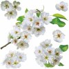 Samolepiaca dekorácia Apple blossom, 30 x 30 cm