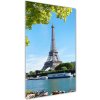 Vertikálny foto obraz sklenený Eiffelová veža Paríž 50x100 cm