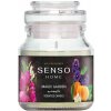 Dr.Marcus Senso Home Scented Candle - Magic Garden 130g (Vonná sviečka)