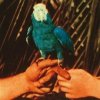 Bird Andrew - Are You Serious / Digisleeve [CD]