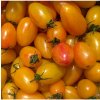 Paradajka Artisan Blush Tiger - Solanum lycopersicum - semená - 6 ks