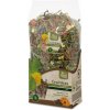 JR FARM Grainless HEALT MIX kompletné krmivo pre činčily a osmáky degu 600g