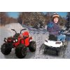 Jamara Ride-on Quad Protector 12V rot 3+