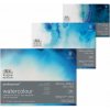 W&N Professional watercolour paper 20listov, 300g, blok Typ: Cold press 30,5x40,6cm