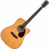 Pasadena PDC-200 Natural Akustická gitara