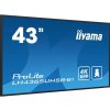 43