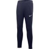 Nike Academy Pro Pant Youth dh9325-451