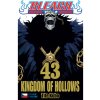 CREW Bleach 43: Kingdom of Hollows
