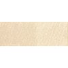 Pastel v ceruzke Derwent - P490 Pale Olive