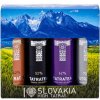 Tatratea 42%-72% Tatry 4x 0,04 l (set)