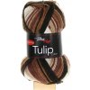 Tulip Color 5217