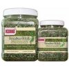 Catnip prémium Kong 2 oz 56,7 g