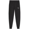 Puma Team Goal Jr pants 658601 03 (191577) Black 164cm