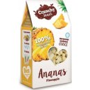 Crunchy Snack mrazom sušený Ananás 20 g