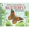 From Caterpillar to Butterfly (Heiligman Deborah)