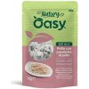 Oasy Cat Natury Soft Jelly Adult - Kuracie filety so šunkou v želé 70 g