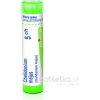 Chelidonium Majus gra.1 x 4 g 5CH