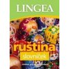 Ruština slovníček, 2. vydanie