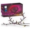 Philips Hue Festavia 20m 929003674402
