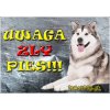 Pozorpes.sk, výstražná tabuľka (Malamut - Uwaga zly pies)