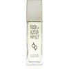 Alyssa Ashley Musk kolínska voda unisex 100 ml