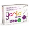 Yarilo einstein 1 30 toboliek
