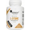 Aliness L-Lyzín ( Hydrochlorid ) 500 mg - 100 kapsúl